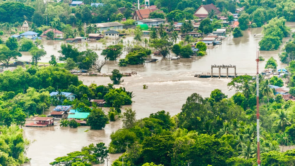 PDMA Flood Damage Report