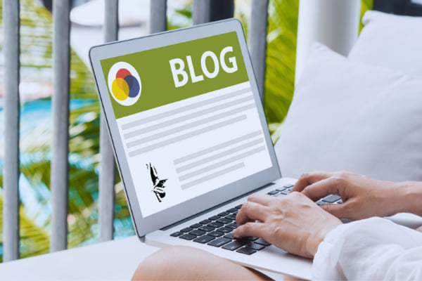 person writing blog post on tablet